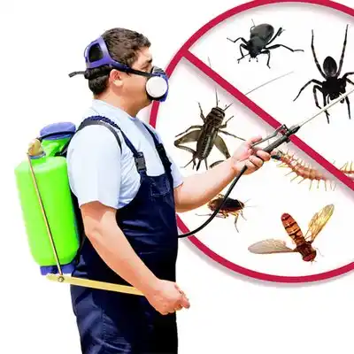 pest control Havre de Grace